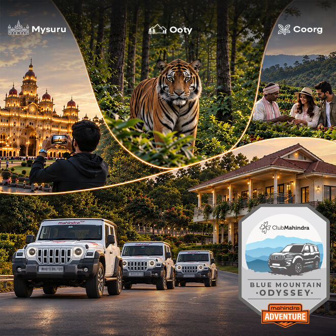 Blue Mountain Odyssey - LIMITED SLOTS ONLY